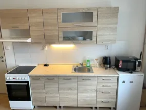 Pronájem bytu 1+kk, Plzeň, Guldenerova, 34 m2