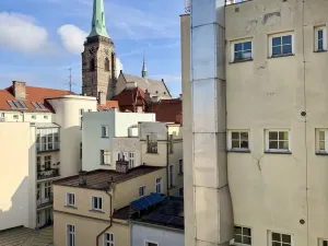 Prodej vícegeneračního domu, Plzeň - Vnitřní Město, Sedláčkova, 913 m2