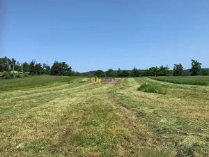 Prodej pozemku pro bydlení, Dublovice, 4428 m2