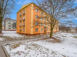 Prodej bytu 2+1, Ostrov, Lidická, 54 m2