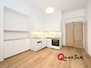 Pronájem bytu 1+1, Praha - Žižkov, Kubelíkova, 39 m2