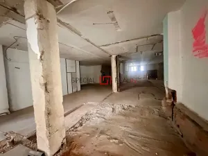 Pronájem skladu, Orlová, Masarykova třída, 200 m2