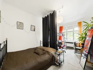 Prodej bytu 2+kk, Praha - Žižkov, Hartigova, 51 m2