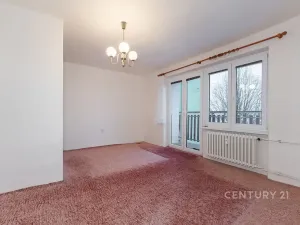 Prodej bytu 2+1, Meziboří, Hornická, 60 m2