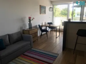 Pronájem bytu 1+kk, Havlíčkův Brod, Tolmanova, 42 m2