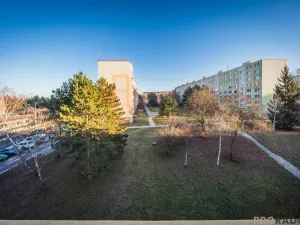 Prodej bytu 3+1, Veselí nad Moravou, Hutník, 74 m2