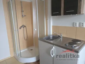 Prodej bytu 1+kk, Opava - Předměstí, Haškova, 14 m2