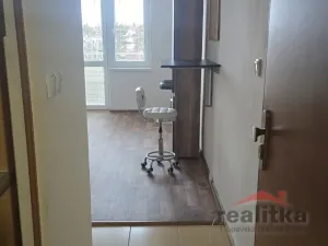 Prodej bytu 1+kk, Opava - Předměstí, Haškova, 14 m2