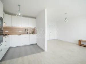 Pronájem bytu 3+kk, Praha - Prosek, Litvínovská, 67 m2