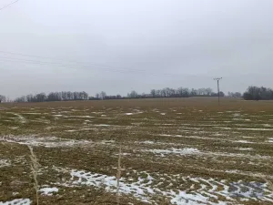 Prodej pole, Pavlov, 2020000 m2