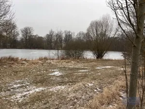 Prodej komerčního pozemku, Pavlov, 2000000 m2