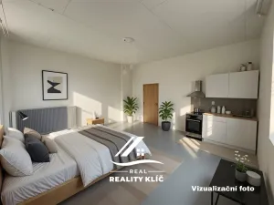 Pronájem bytu 1+kk, Ostrava, Stará cesta, 37 m2