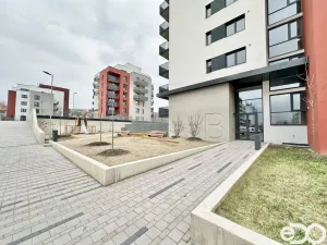 Pronájem bytu 1+kk, Praha, Zlochova, 36 m2