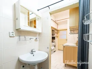 Pronájem bytu 2+1, Praha - Žižkov, Žerotínova, 72 m2