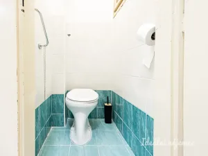 Pronájem bytu 2+1, Praha - Žižkov, Žerotínova, 72 m2