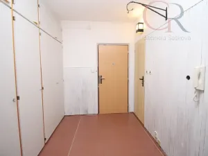 Pronájem bytu 2+1, Plzeň - Severní Předměstí, Elišky Krásnohorské, 65 m2