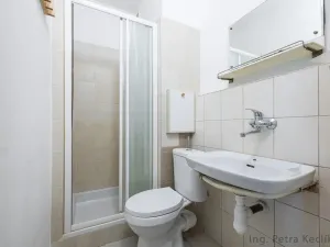 Pronájem bytu 1+kk, Brno - Staré Brno, Veletržní, 19 m2