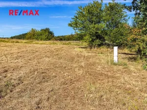 Prodej pozemku pro bydlení, Svojkov, 2003 m2