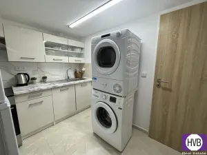 Pronájem bytu 1+1, Miloňovice, 60 m2