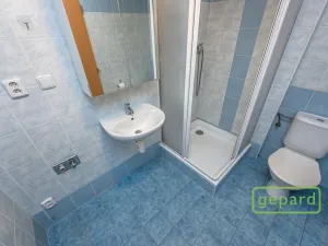 Pronájem bytu 1+1, Praha, Herlíkovická, 43 m2