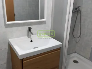 Pronájem bytu 1+1, Praha, Herlíkovická, 43 m2