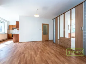 Pronájem bytu 1+kk, Praha, Herlíkovická, 43 m2