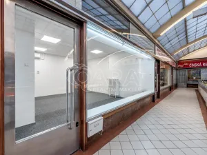 Pronájem obchodního prostoru, Praha - Nové Město, Vodičkova, 24 m2