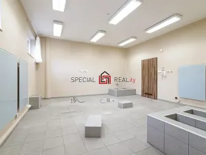 Prodej obchodního prostoru, Ostrava, U Staré elektrárny, 139 m2