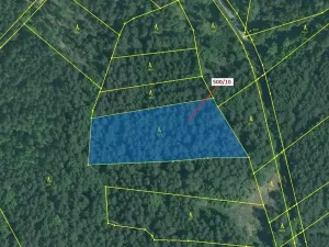 Dražba lesa, Jílovice, 5755 m2