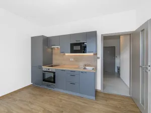 Pronájem bytu 1+kk, Zruč-Senec - Zruč, Sportovní, 42 m2
