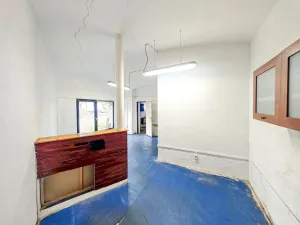 Pronájem skladu, Pardubice - Zelené Předměstí, Jana Palacha, 211 m2