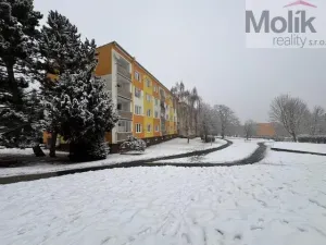 Prodej bytu 1+1, Jirkov, Pod Přivaděčem, 39 m2