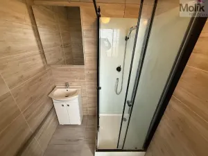 Pronájem bytu 3+1, Bílina - Teplické Předměstí, Sídliště Za Chlumem, 66 m2