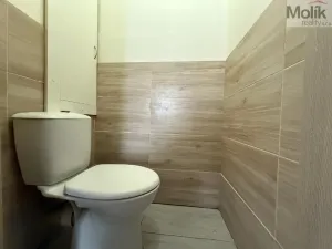 Pronájem bytu 3+1, Bílina - Teplické Předměstí, Sídliště Za Chlumem, 66 m2