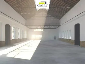 Pronájem obchodního prostoru, Plzeň - Východní Předměstí, Železniční, 2860 m2