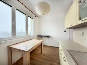 Pronájem bytu 2+1, Duchcov, Horská cesta, 52 m2