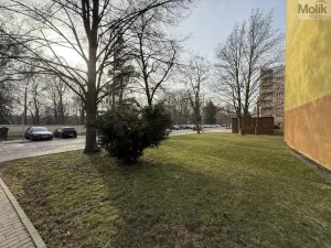 Pronájem bytu 2+1, Duchcov, Horská cesta, 52 m2