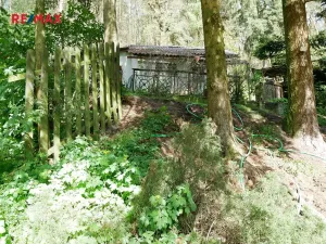 Prodej chaty, Horní Bříza, 51 m2