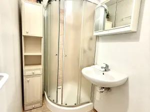 Pronájem bytu 1+1, Hradec Králové, Brožíkova, 44 m2