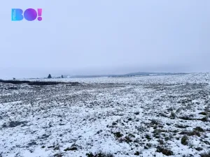 Prodej pozemku pro bydlení, Třebelovice, 936 m2