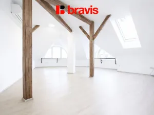 Pronájem bytu 1+kk, Brno, Koliště, 61 m2