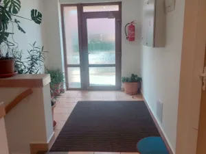 Prodej bytu 1+kk, Brno - Dolní Heršpice, 29 m2