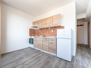 Pronájem bytu 1+1, Mladá Boleslav - Mladá Boleslav II, Jana Palacha, 41 m2