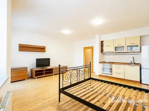 Pronájem bytu 1+kk, Praha - Žižkov, V zahrádkách, 38 m2
