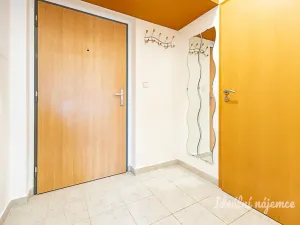 Pronájem bytu 1+kk, Praha - Žižkov, V zahrádkách, 38 m2