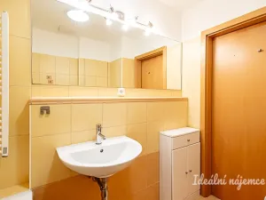Pronájem bytu 1+kk, Praha - Žižkov, V zahrádkách, 38 m2