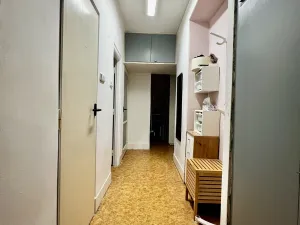 Prodej bytu 2+1, Praha, Boleslavova, 53 m2