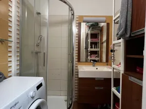 Prodej bytu 2+1, Praha, Boleslavova, 53 m2