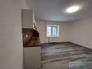Pronájem bytu 1+kk, Krnov - Pod Cvilínem, Textilní, 28 m2