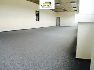 Pronájem skladu, Velká Bíteš - Košíkov, 32000 m2
